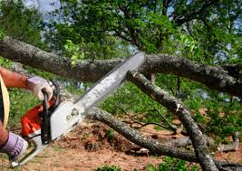 Best Lawn Grading and Leveling  in Lmer Heights, PA