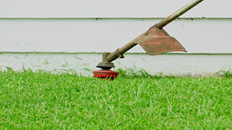 Best Lawn Drainage Solutions  in Lmer Heights, PA